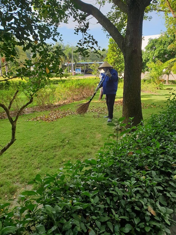 Dịch vụ chăm sóc cảnh quan khuôn viên sân vườn - Cây Xanh Phú Cường - Công Ty TNHH Dịch Vụ Và Kỹ Thuật Phú Cường